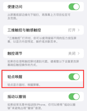 磁县苹果授权维修站分享iPhone轻点无法唤醒怎么办 