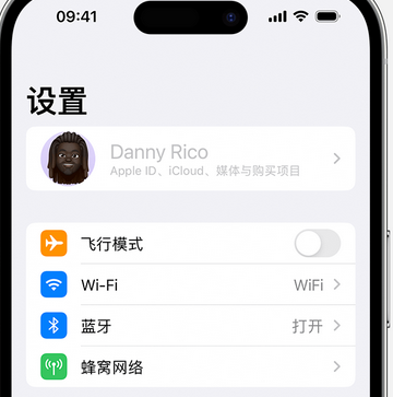 磁县appleID维修服务iPhone设置中Apple ID显示为灰色无法使用 