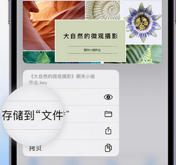 磁县apple维修中心分享iPhone文件应用中存储和找到下载文件