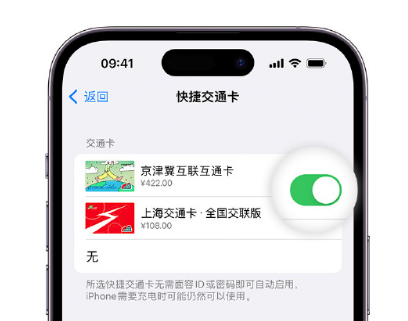 磁县apple维修点分享iPhone上更换Apple Pay快捷交通卡手绘卡面 