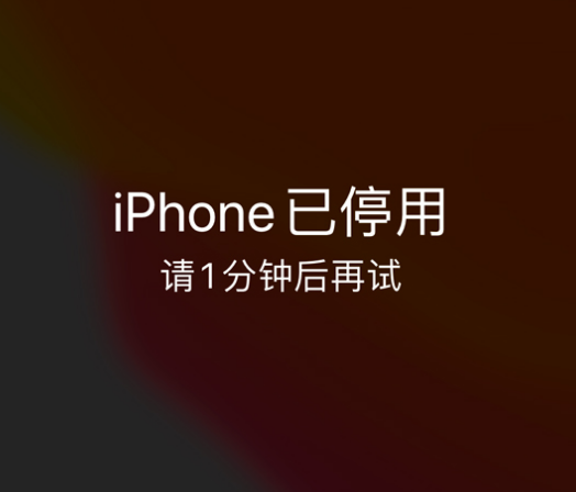 磁县苹果手机维修分享:iPhone 显示“不可用”或“已停用”怎么办？还能保留数据吗？ 