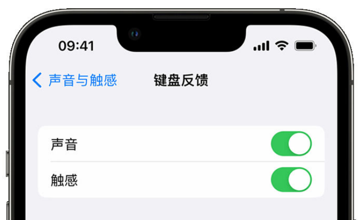 磁县苹果手机维修分享iPhone 14触感键盘使用方法 