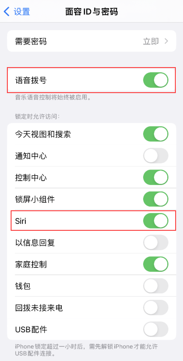 磁县苹果维修网点分享不解锁 iPhone 的情况下通过 Siri 拨打电话的方法 