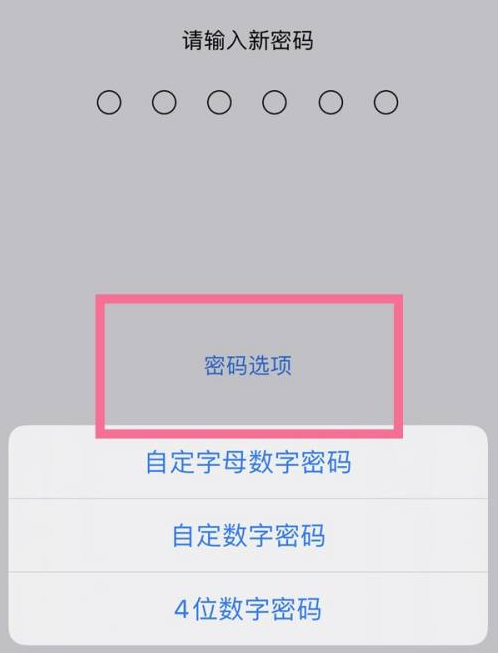 磁县苹果14维修分享iPhone 14plus设置密码的方法 