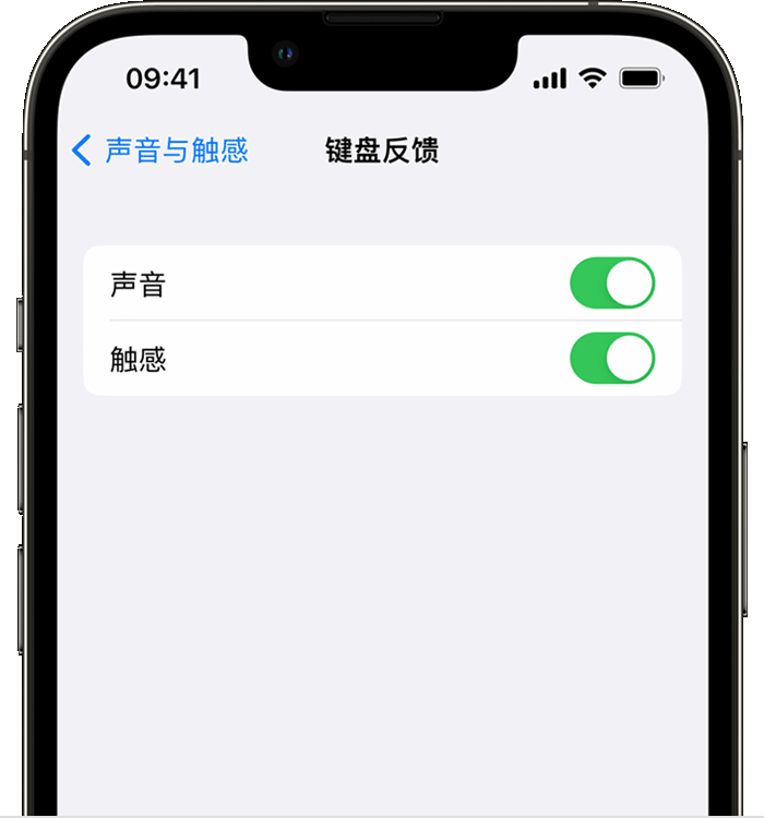 磁县苹果14维修分享iPhone 14 系列机型如何开启键盘声音或触感反馈 