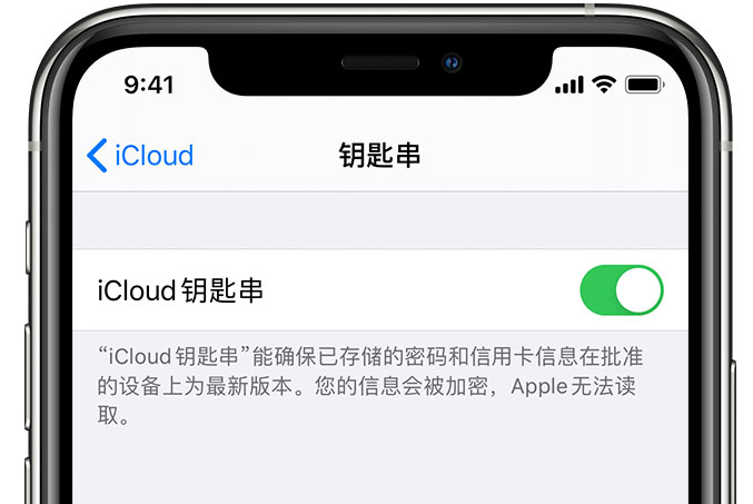 磁县苹果手机维修分享在 iPhone 上开启 iCloud 钥匙串之后会储存哪些信息 