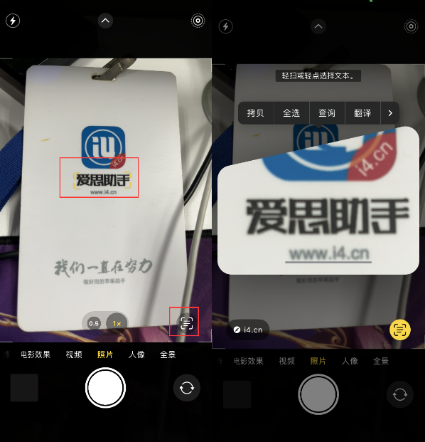 磁县苹果手机维修分享升级iOS 16后如何通过相机翻译文本 