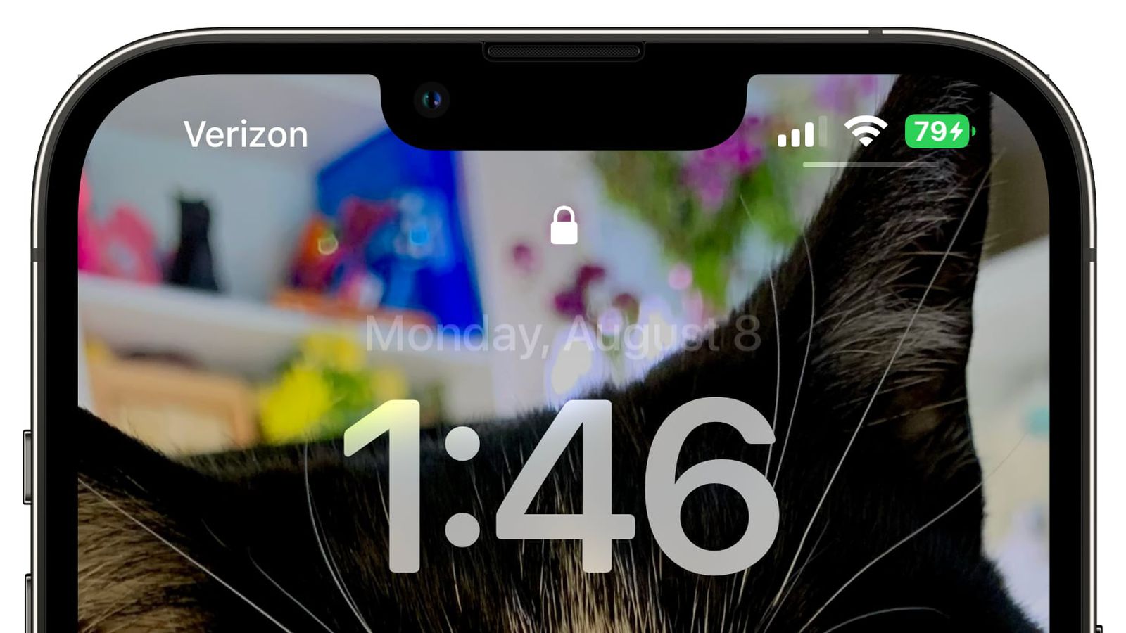 磁县苹果手机维修分享iOS 16 beta 5 支持状态栏显示电池百分比，如何开启？支持哪些机型 