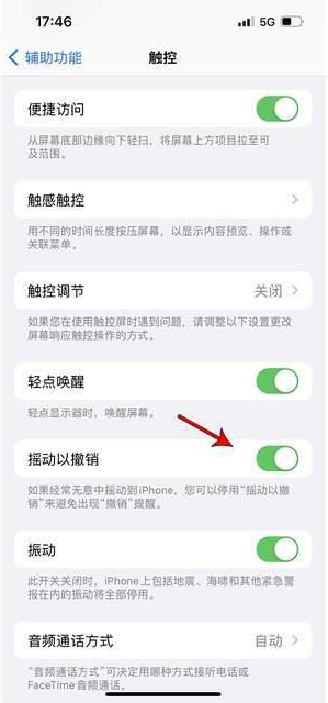 磁县苹果手机维修分享iPhone手机如何设置摇一摇删除文字 