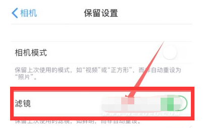 磁县苹果13维修分享iPhone13拍照有绿点是怎么回事 