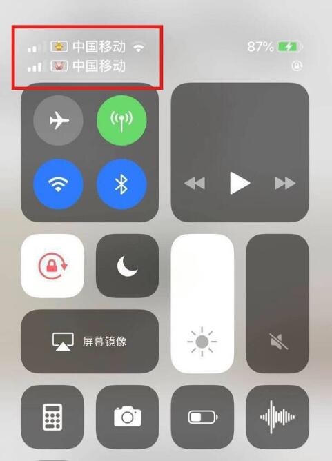 磁县苹果手机维修分享为 iPhone 12 双卡设置标签 