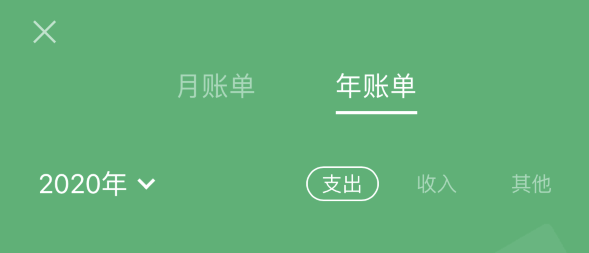 磁县苹果手机维修分享如何在 iPhone 上查看支付宝和微信年支出账单 